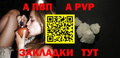 стаф Дубна