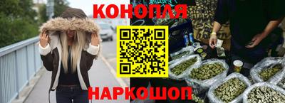 стаф Дубна
