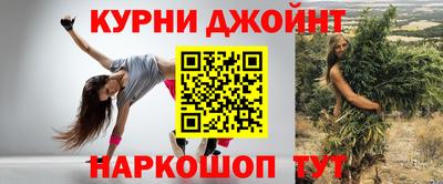 стаф Дубна