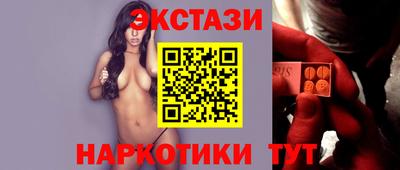 стаф Дубна