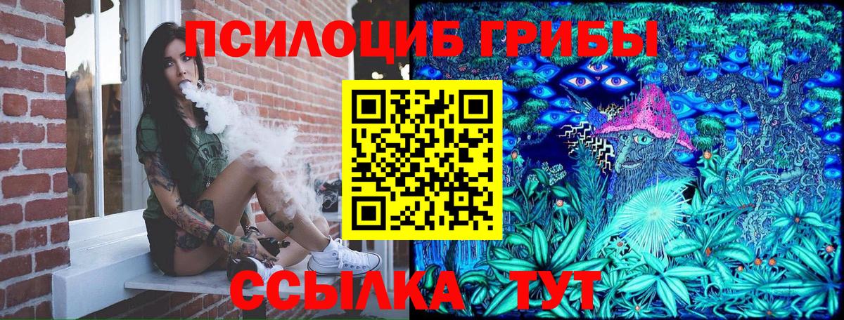 Бийск  Галлюциногенные грибы Magic Shrooms  купить наркотики сайты  Вход с VPN 