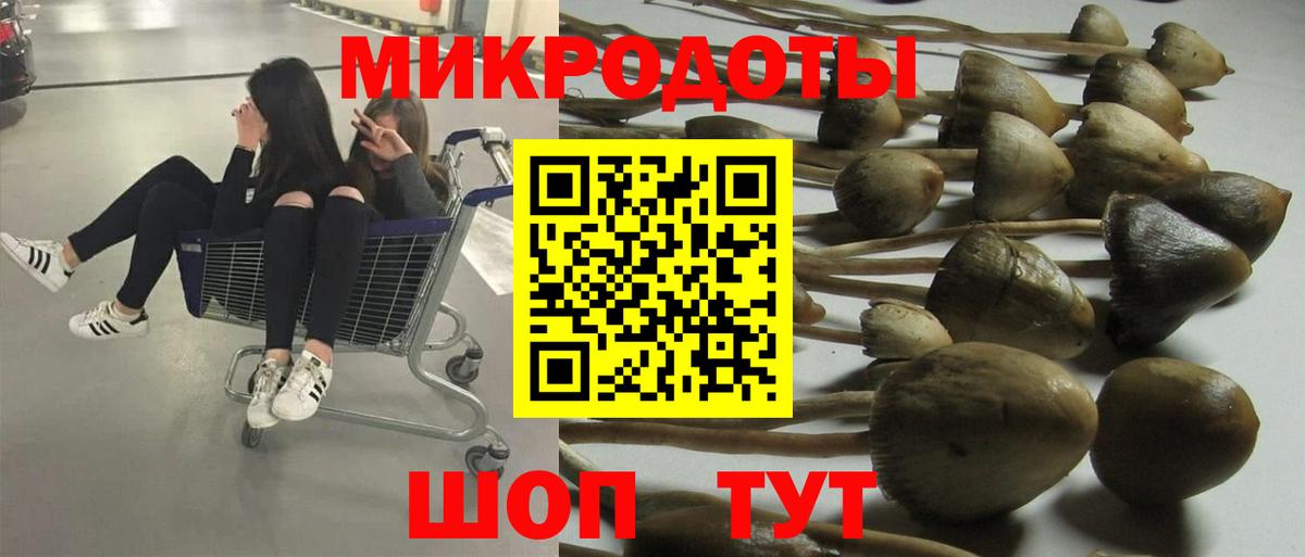 Псилоцибиновые грибы прущие грибы Бийск